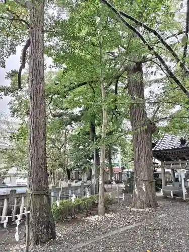 玉前神社(千葉県)