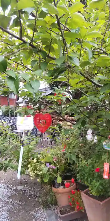 今戸神社(東京都)