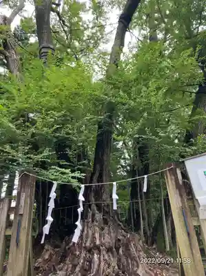 小室浅間神社(山梨県)
