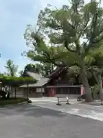 大宮神社の{uncategorized: "未分類", other: "その他", undefined: "問題あり", building: "その他建物", grave: "お墓", sacred_gate: "鳥居", guardian: "狛犬", statue: "像", buddha: "仏像", history: "歴史", nature: "自然", garden: "庭園", animal: "動物", pagoda: "塔", temizu: "手水舎", mountain_gate: "山門・神門", sanctuary: "本殿・本堂", subordinate: "末社・摂社", art: "芸術", scenery: "景色", jizo: "地蔵", ema: "絵馬", goshuin: "御朱印", omikuji: "おみくじ", items: "授与品その他", amulet: "お守り", goshuincho: "御朱印帳", eats: "食事", festival: "お祭り", votive_dance: "神楽", shichigosan: "七五三参", wedding: "結婚式", experience: "体験その他", initially: "初詣", around: "周辺", anti_infection: "感染症対策"}