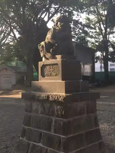 六角橋杉山大神の狛犬