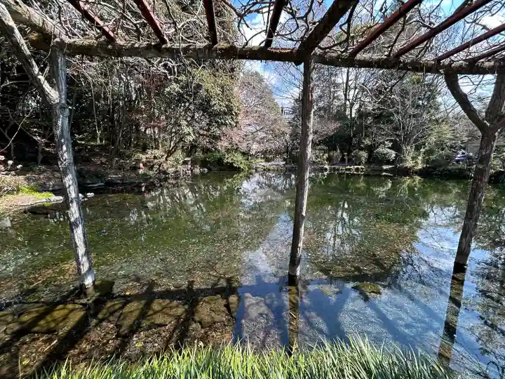 富士山本宮浅間大社(静岡県)