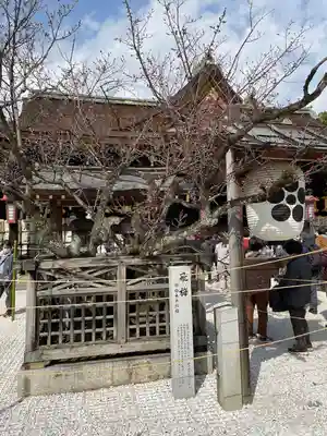 北野天満宮(京都府)