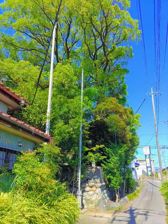 天王社(三奴天王社)の自然