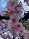 はるさんのプロフィール画像