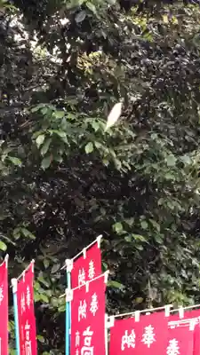 大和神社(奈良県)