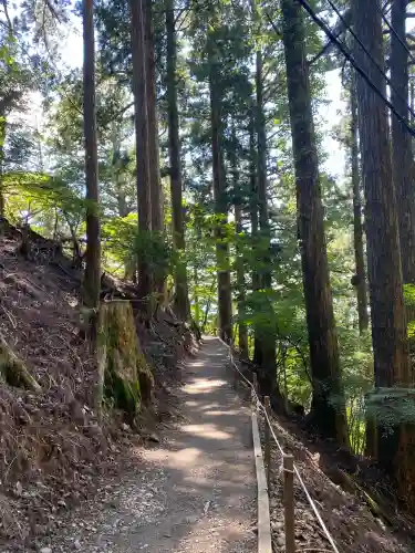 玉置神社(奈良県)