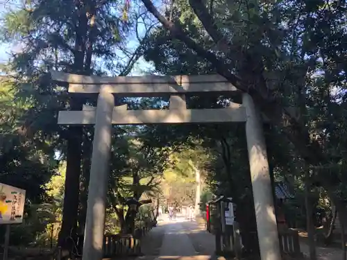 岩槻久伊豆神社の鳥居