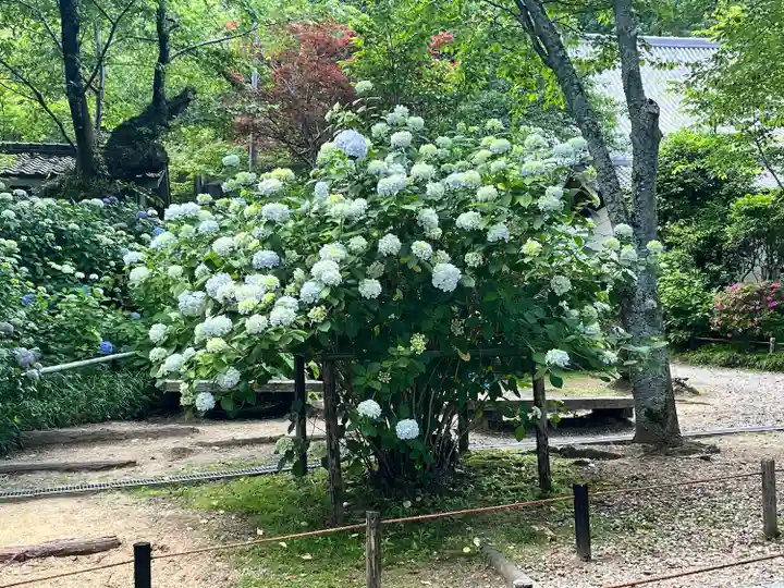 念佛院(奈良県)
