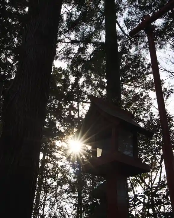 渋川八幡宮(群馬県)