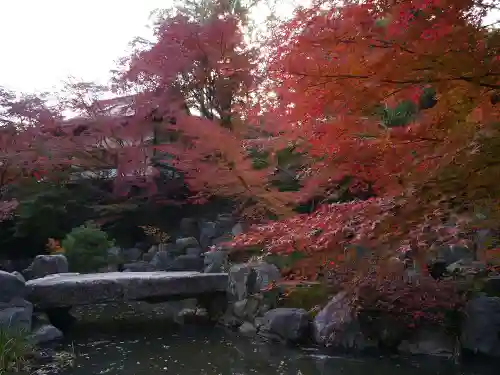 長岡天満宮の庭園