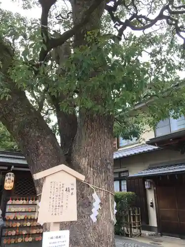 晴明神社の自然