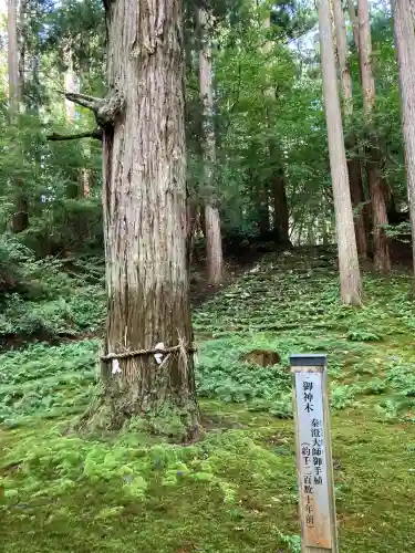 平泉寺白山神社(福井県)