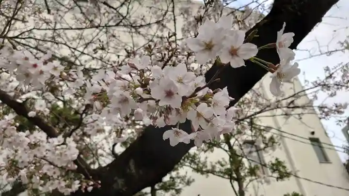 猿江神社の自然