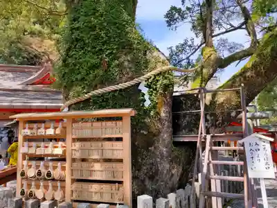 熊野那智大社(和歌山県)