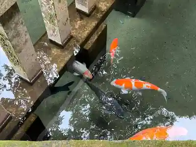 鹿島神宮(茨城県)