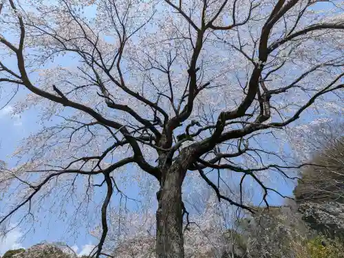 紹太寺(神奈川県)