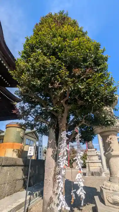 健田須賀神社の{uncategorized: "未分類", other: "その他", undefined: "問題あり", building: "その他建物", grave: "お墓", sacred_gate: "鳥居", guardian: "狛犬", statue: "像", buddha: "仏像", history: "歴史", nature: "自然", garden: "庭園", animal: "動物", pagoda: "塔", temizu: "手水舎", mountain_gate: "山門・神門", sanctuary: "本殿・本堂", subordinate: "末社・摂社", art: "芸術", scenery: "景色", jizo: "地蔵", ema: "絵馬", goshuin: "御朱印", omikuji: "おみくじ", items: "授与品その他", amulet: "お守り", goshuincho: "御朱印帳", eats: "食事", festival: "お祭り", votive_dance: "神楽", shichigosan: "七五三参", wedding: "結婚式", experience: "体験その他", initially: "初詣", around: "周辺", anti_infection: "感染症対策"}