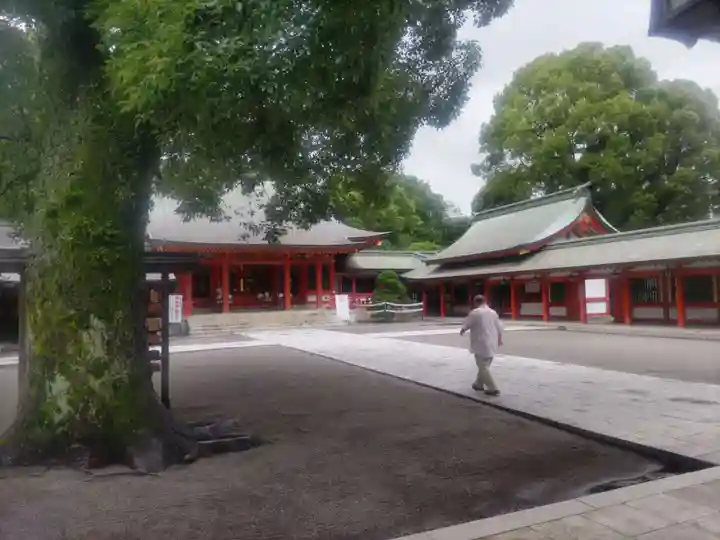 藤崎八旛宮(熊本県)