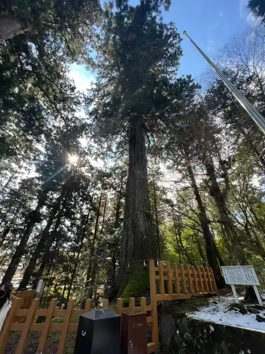 須山浅間神社のその他建物