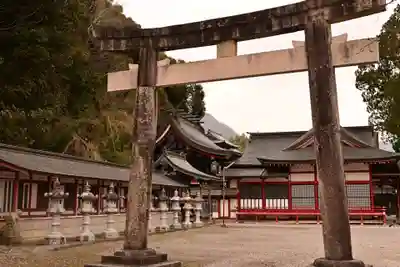 八幡神社(愛媛県)