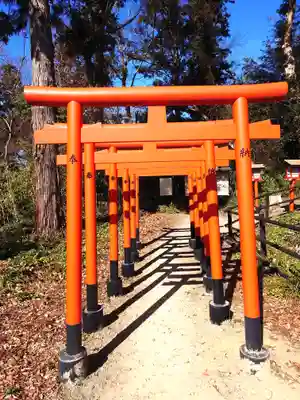 西坂ねこ稲荷神社(福島県)