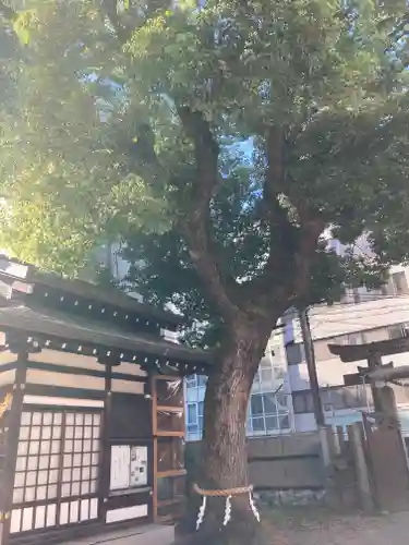 堀川戎神社(大阪府)