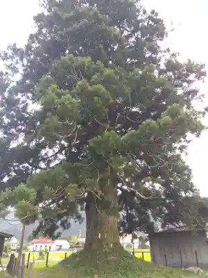 戸隠神社(岐阜県)
