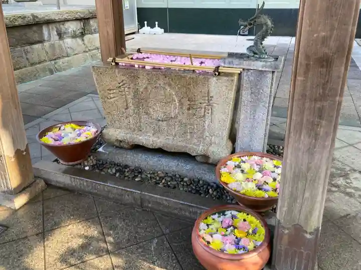 日蓮宗 浄運寺(東京都)