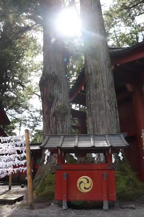 日光二荒山神社(栃木県)