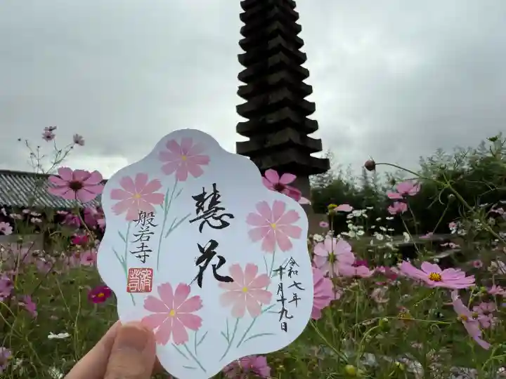 般若寺 ❁コスモス寺❁(奈良県)