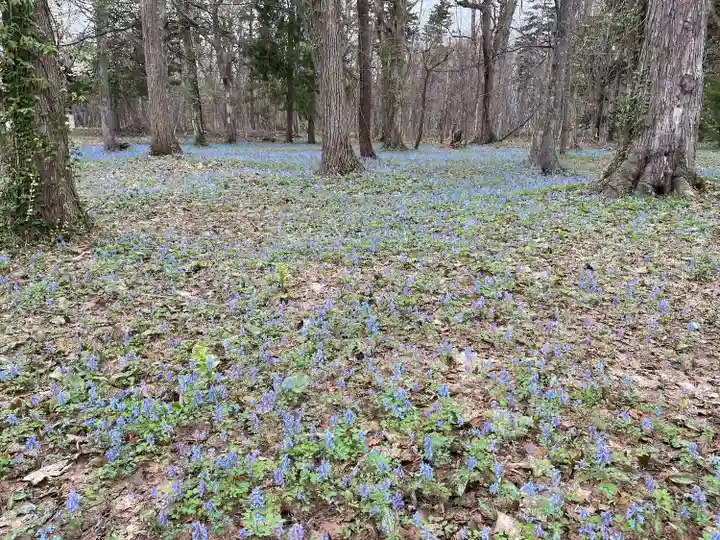 浦臼神社(北海道)