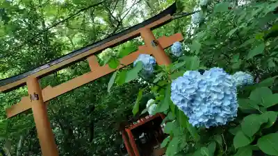 平野神社(京都府)