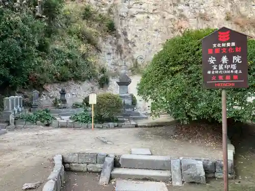 安養院　(田代寺）(神奈川県)