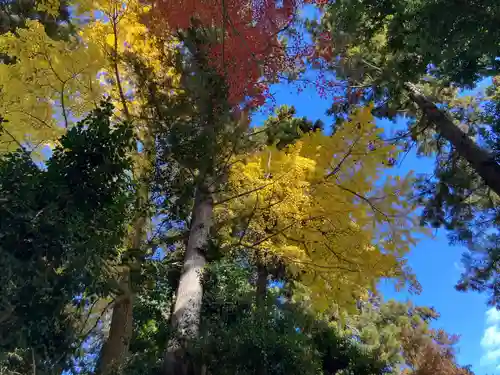 北野天神社(埼玉県)