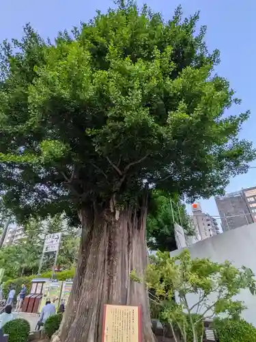 浅草寺(東京都)