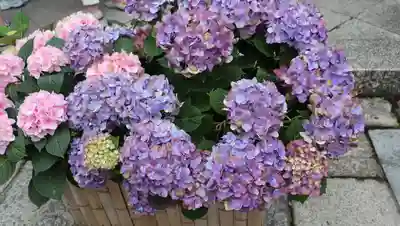 柳谷観音　楊谷寺(京都府)