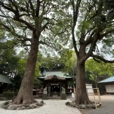 五社神社の{uncategorized: "未分類", other: "その他", undefined: "問題あり", building: "その他建物", grave: "お墓", sacred_gate: "鳥居", guardian: "狛犬", statue: "像", buddha: "仏像", history: "歴史", nature: "自然", garden: "庭園", animal: "動物", pagoda: "塔", temizu: "手水舎", mountain_gate: "山門・神門", sanctuary: "本殿・本堂", subordinate: "末社・摂社", art: "芸術", scenery: "景色", jizo: "地蔵", ema: "絵馬", goshuin: "御朱印", omikuji: "おみくじ", items: "授与品その他", amulet: "お守り", goshuincho: "御朱印帳", eats: "食事", festival: "お祭り", votive_dance: "神楽", shichigosan: "七五三参", wedding: "結婚式", experience: "体験その他", initially: "初詣", around: "周辺", anti_infection: "感染症対策"}