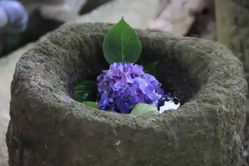 阿久津「田村神社」（郡山市阿久津町）旧社名：伊豆箱根三嶋三社の手水