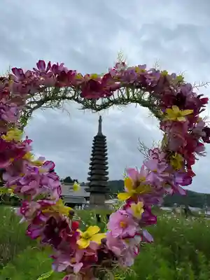 般若寺 ❁﻿コスモス寺❁(奈良県)