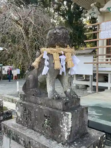 武雄神社の狛犬