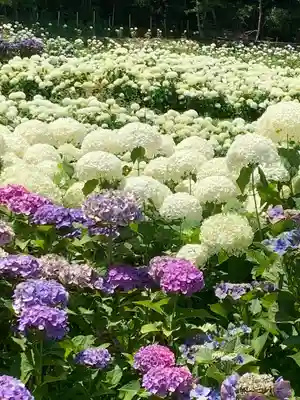 陽林寺(福島県)