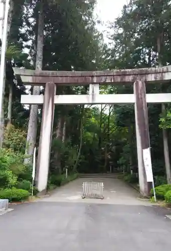 白山比咩神社の鳥居