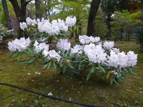仁和寺(京都府)