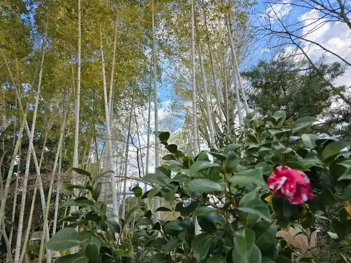 大安寺(奈良県)