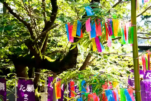 下野 星宮神社のお祭り
