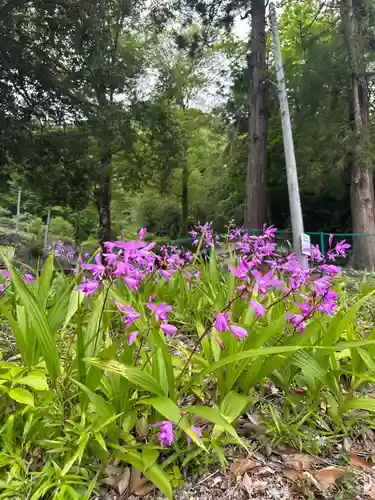 皷楽神社(山梨県)
