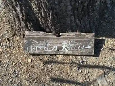 夫婦くぬぎ両神神社(椋神社)(埼玉県)