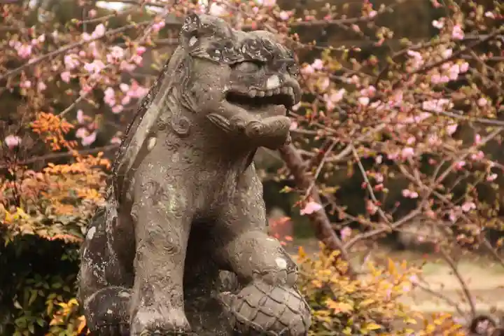 熊野神社の狛犬