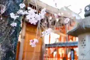 御霊神社(奈良県)(2026年04月08日(水) 18時59分57秒投稿)